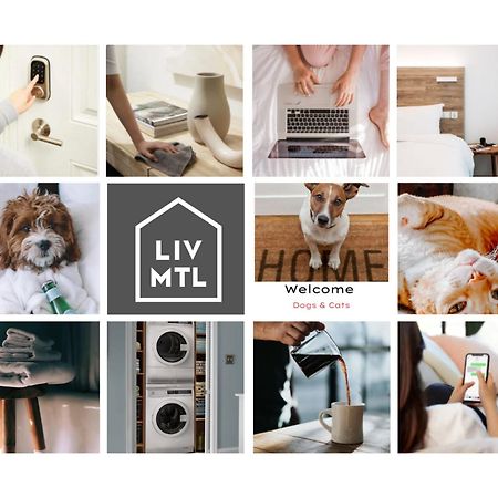 Liv Mtl Avenue Lejlighedshotel Montréal Eksteriør billede