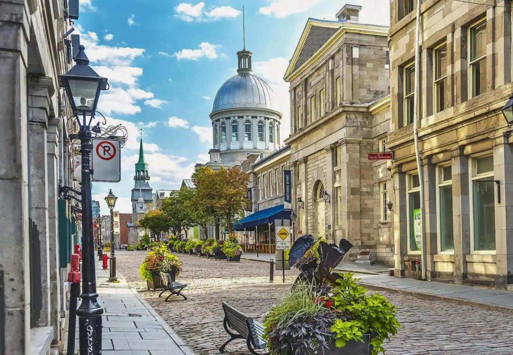 Liv Mtl Avenue Lejlighedshotel Montréal Eksteriør billede