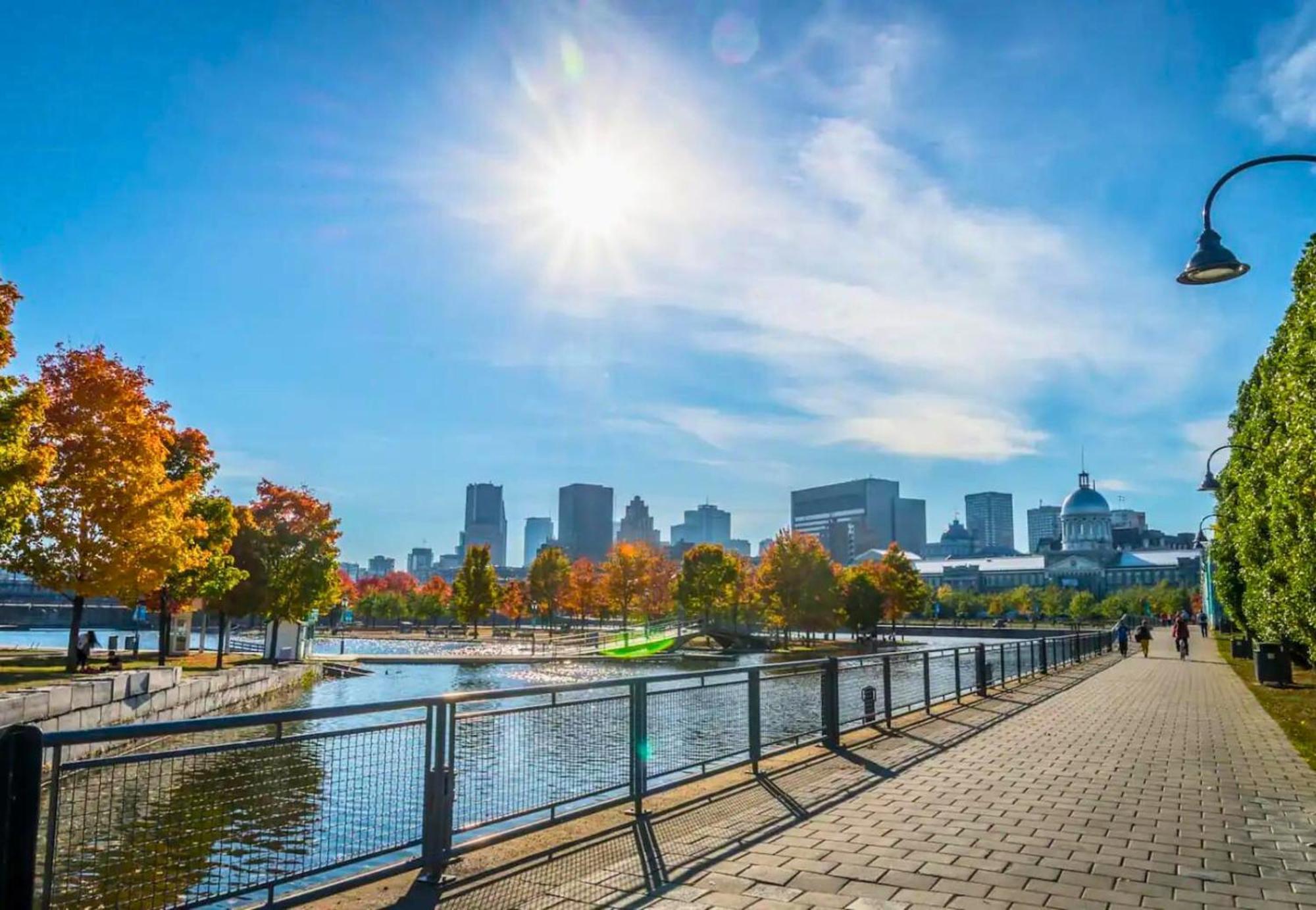 Liv Mtl Avenue Lejlighedshotel Montréal Eksteriør billede