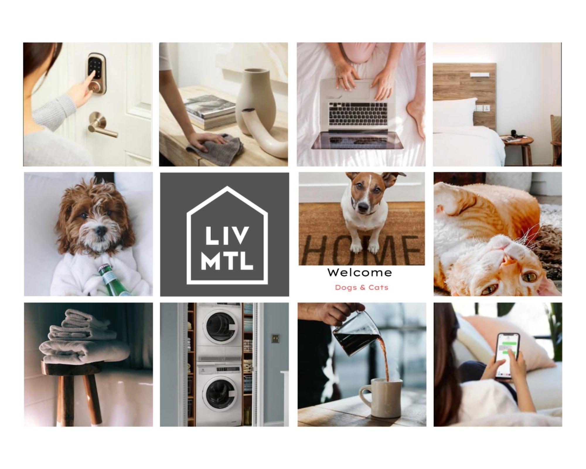 Liv Mtl Avenue Lejlighedshotel Montréal Eksteriør billede
